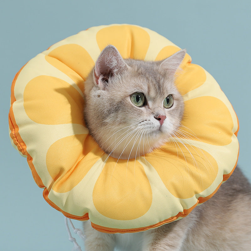 Cat Lick And Bite Elizabeth Ring Headgear