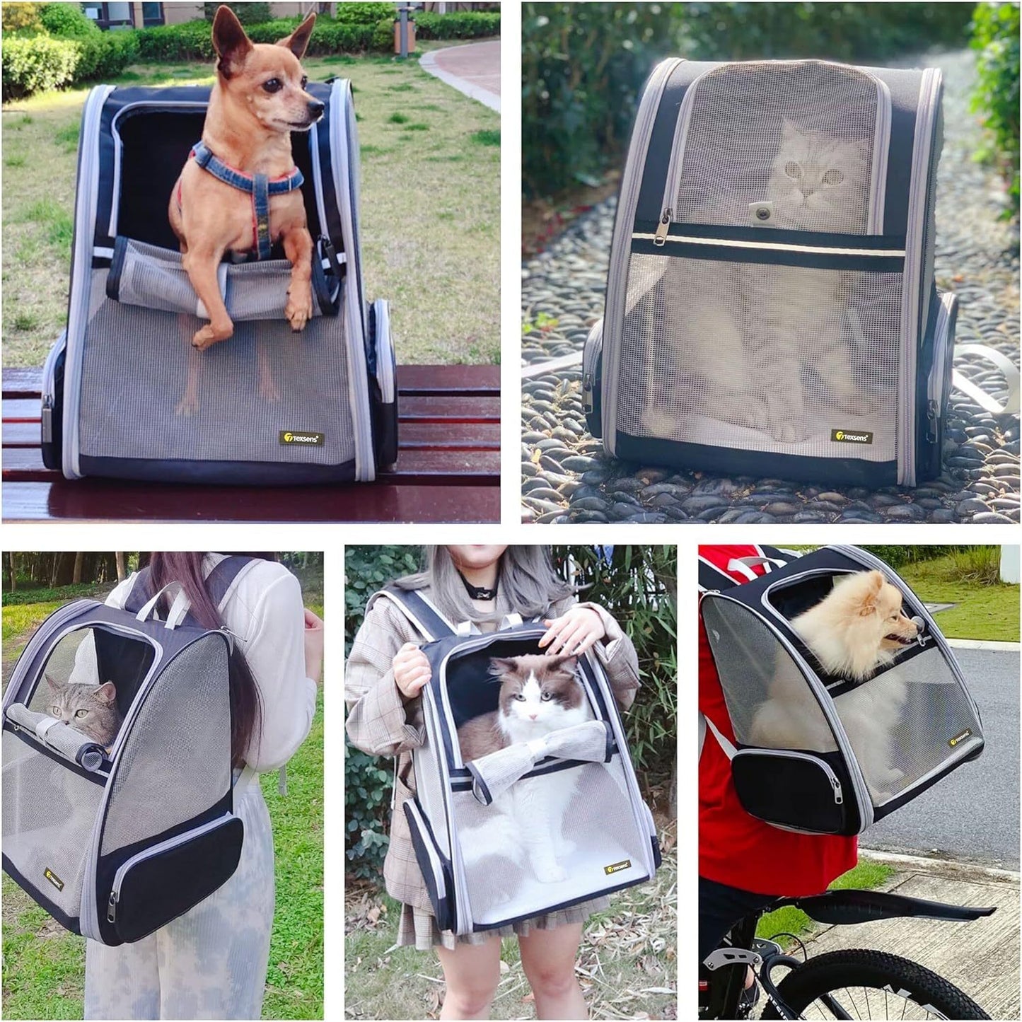 Innovative Traveler Bubble Backpack Pet Carriers For Cats And Dogs